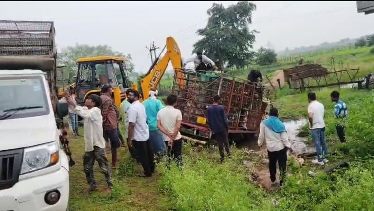 मुर्गी से भरी पिकअप वाहन हिरेतरा चौक के पास पलटी