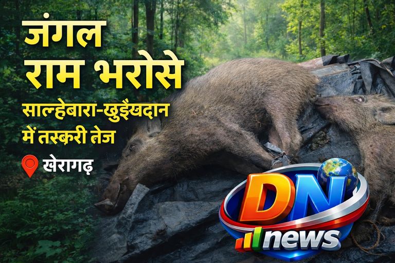 Khairagarh में जंगल “राम भरोसे”: साल्हेवारा–छुईखदान में वन्यजीव व लकड़ी तस्करी, विभाग पर सवाल