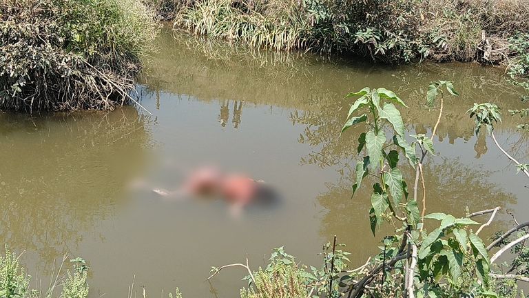 नदी में तैरता मिला चार दिनों से लापता बुजुर्ग महिला का शव, इलाके में सनसनी