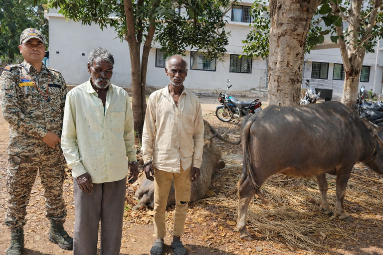 चार भैंसों की तस्करी करते दो युवक धराए